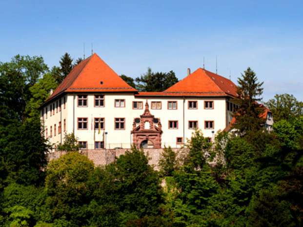  Schloss Neuenbürg 