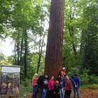 Tag 2 Waldpädagogik  im Schlossgarten